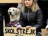 Greta Thunberg et 600 jeunes traînent la Suède en justice
