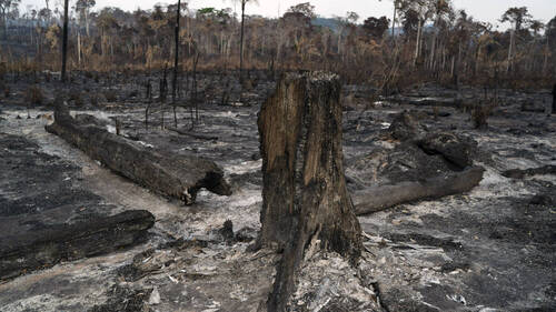 Brésil: la déforestation sous un seuil historique en 2025