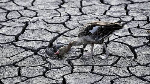 Climat: les conditions extrêmes deviennent "la norme"