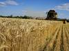 Kiev et Moscou signent l'accord sur l'exportation des céréales