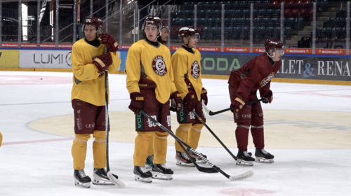 GSHC