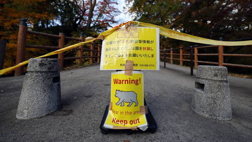 Les policiers japonais désormais autorisés à tirer sur des ours