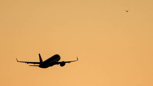 Plus de deux tiers des expulsions décidées en 2024 menées à bien