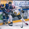 Genève-Servette peut toujours y croire, gros coup d'Ajoie
