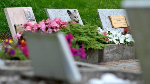 Echec de l'initiative pour un jardin du souvenir pour les animaux