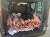 Plus de 400kg d'agneau importés en fraude et sans réfrigération