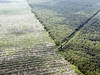 L'Indonésie et la Norvège signent un accord sur la déforestation