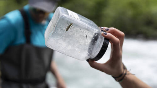 Le projet fédéral sur les PFAS attaqué de plusieurs côtés