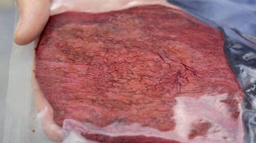 Viande de synthèse: une firme israélienne s'implante à Kemptthal ZH