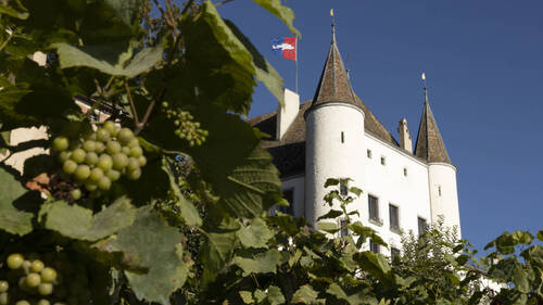 La Journée des Châteaux Suisses, un voyage à travers le temps