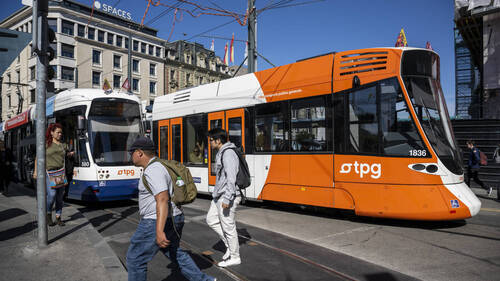 tpg