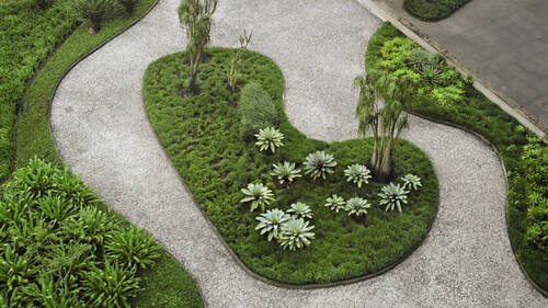 Burle Marx à Berne, du jardin tropical aux jardins genevois romands