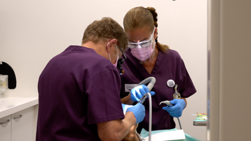 dentiste