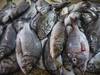 France: les objectifs de pêche durable loin d'être atteints