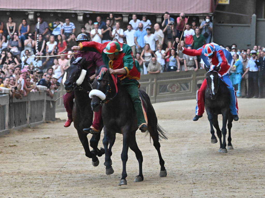 Cravache d'équitation – Chevaux Passion