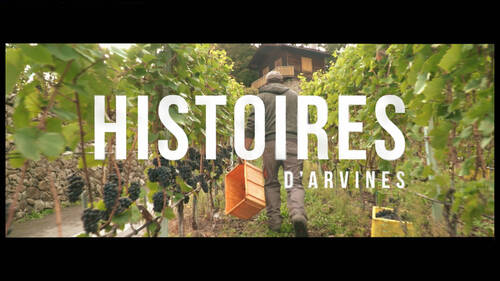 Histoires d'Arvines