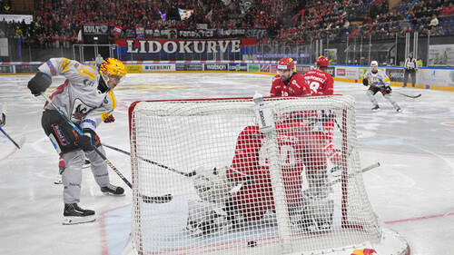 Fribourg égalise à 2-2 dans sa série contre Rapperswil
