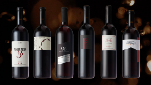 Vins 2026 - PINOT NOIR