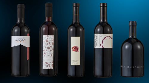 vins 2024 - pinot noir