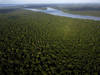 Les pays amazoniens forment une "alliance" contre la déforestation