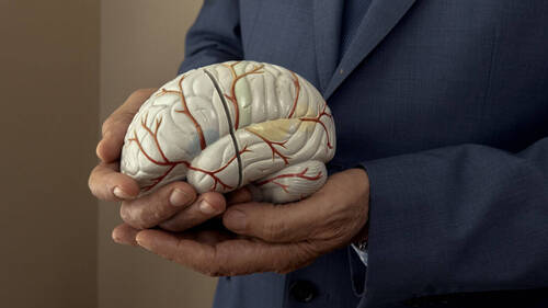 Une semaine spéciale consacrée au cerveau à Genève et Lausanne