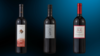 vins 2024 - gamay
