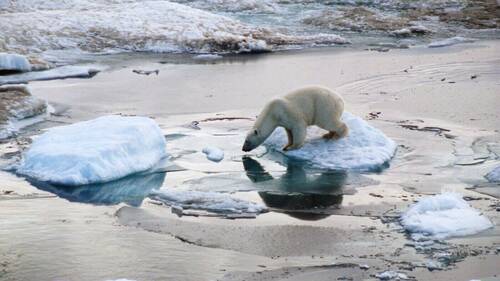 L'Arctique a vécu son année la plus chaude jamais enregistrée
