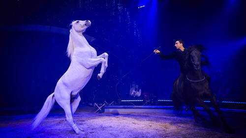 Sons et lumières innovants pour la tournée 2026 du Cirque Knie