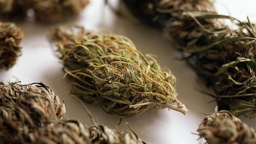 Il "déclare" 117 kg de cannabis à la douane germano-suisse