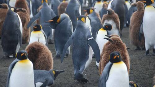 Le réchauffement des océans polaires menace les infrastructures
