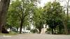video Aux Bastions et au Jardin anglais, 56 arbres sont en danger