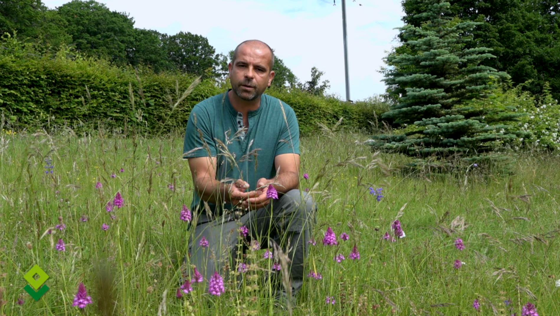 Conserver - Vincent Herpailler