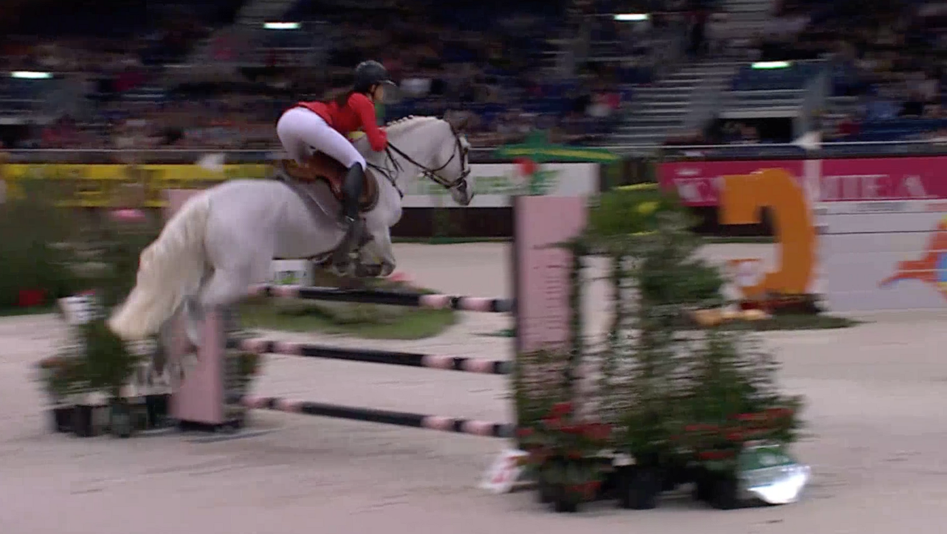Concours Hippique Internationnal de Genève