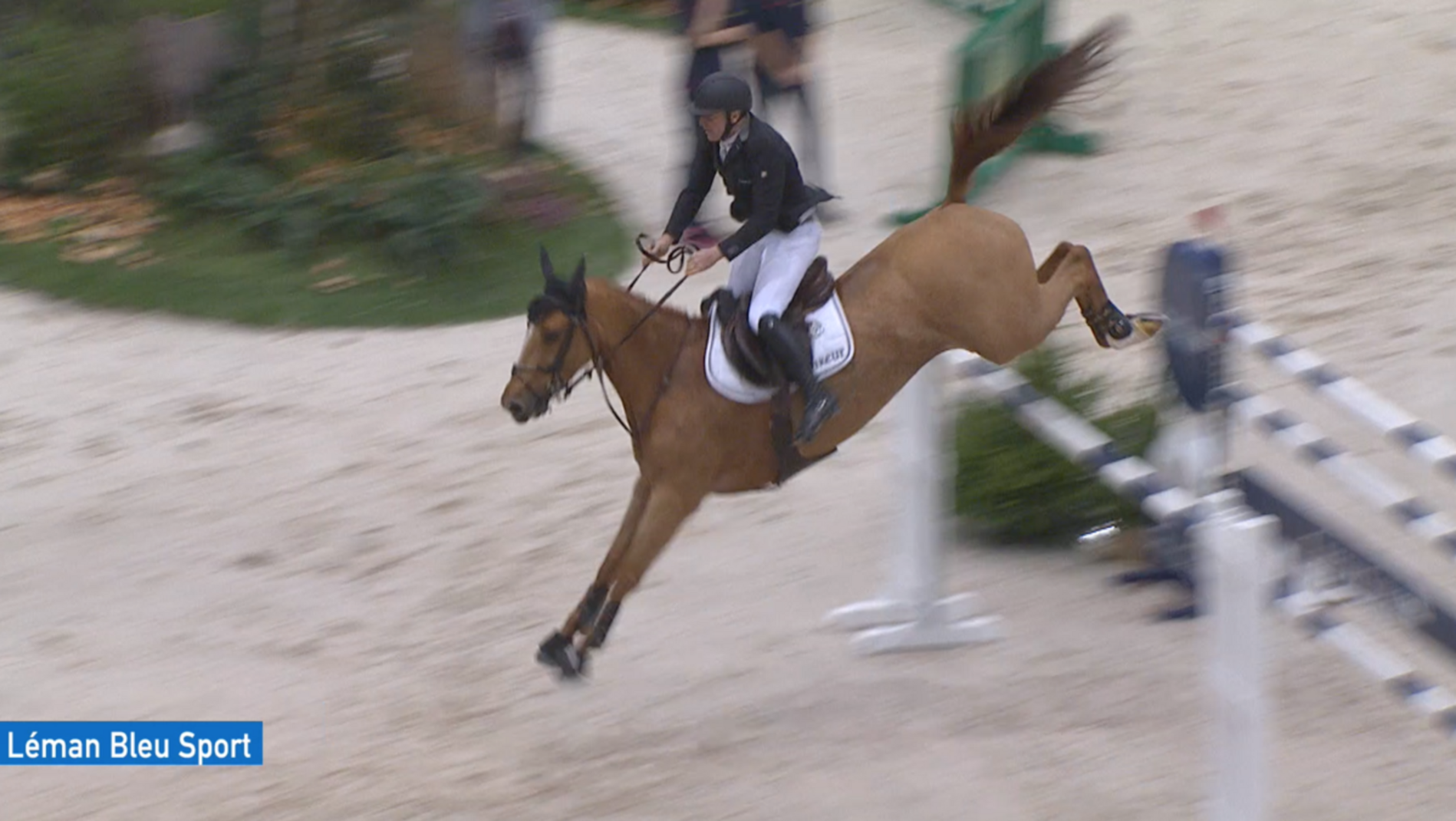 Concours Hippique International de Genève