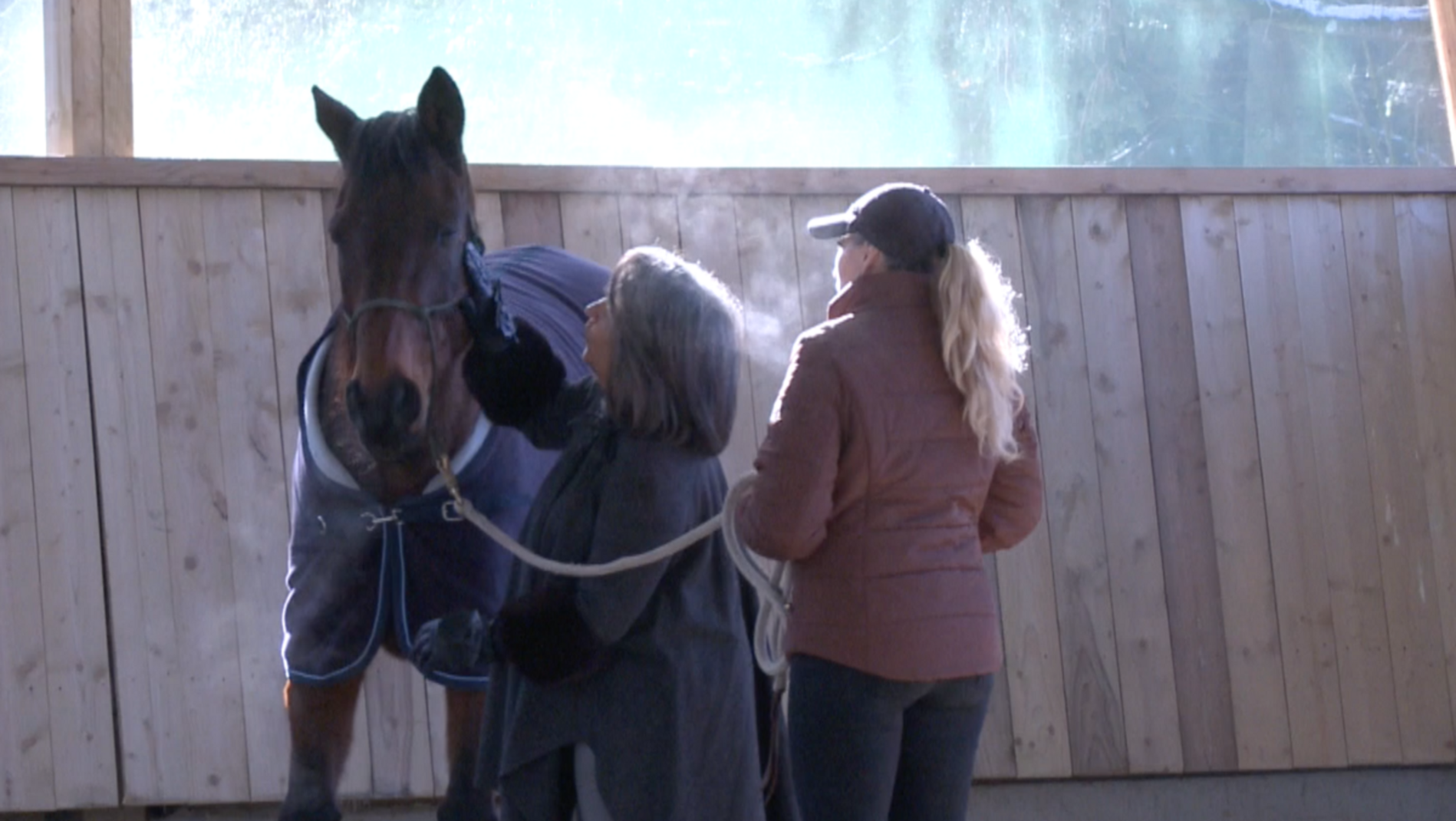 Horse Mag février