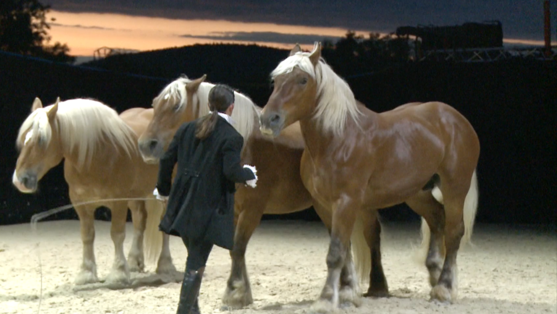 Horse Mag