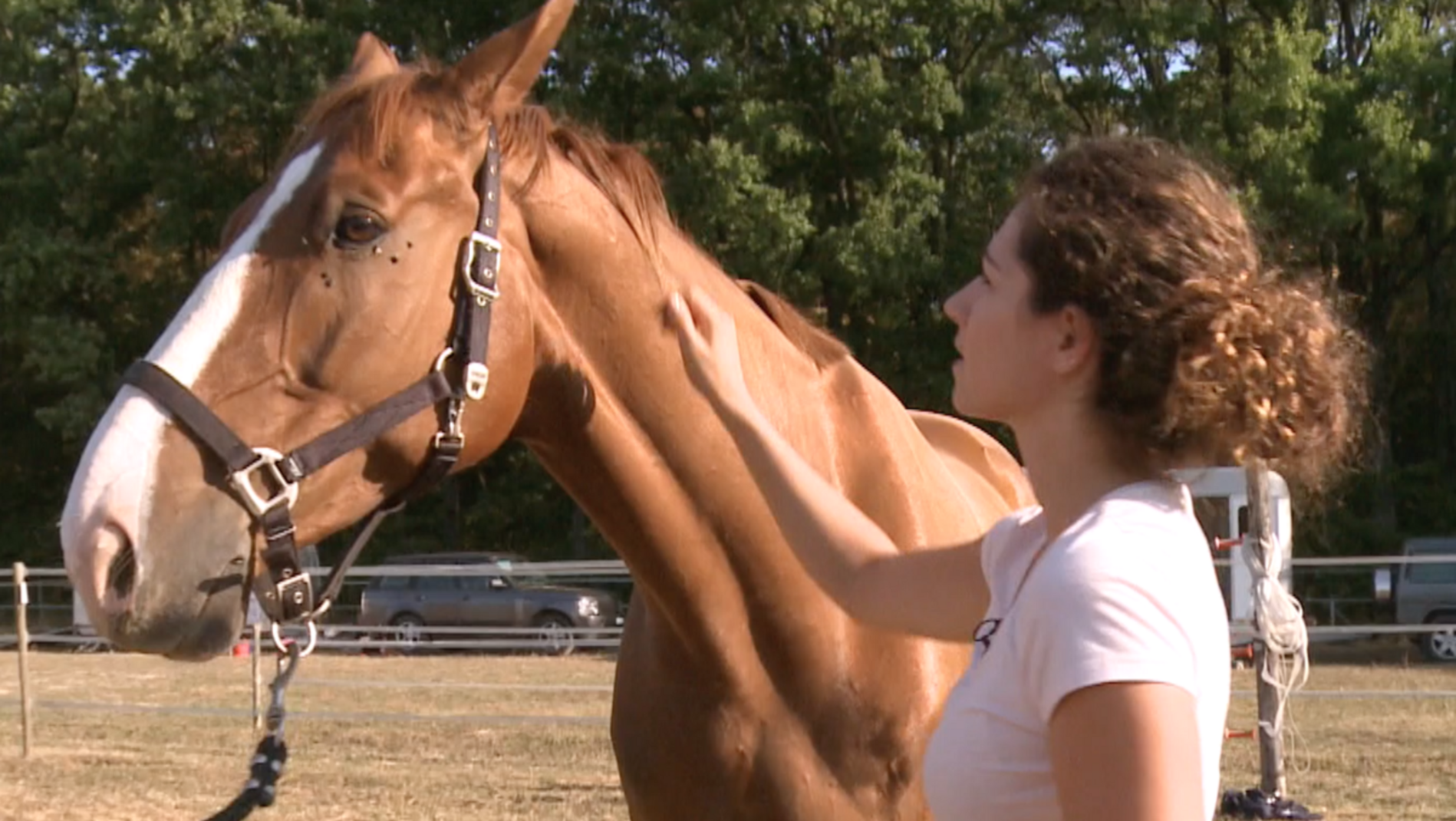 Horse Mag