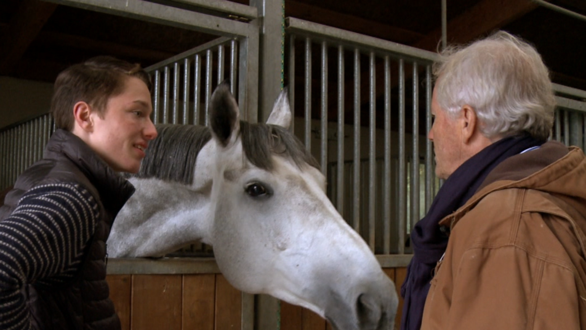 Horse Mag