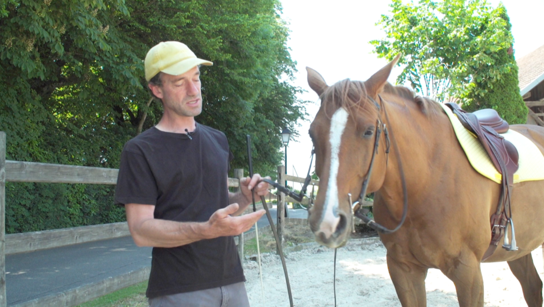 Horse Mag