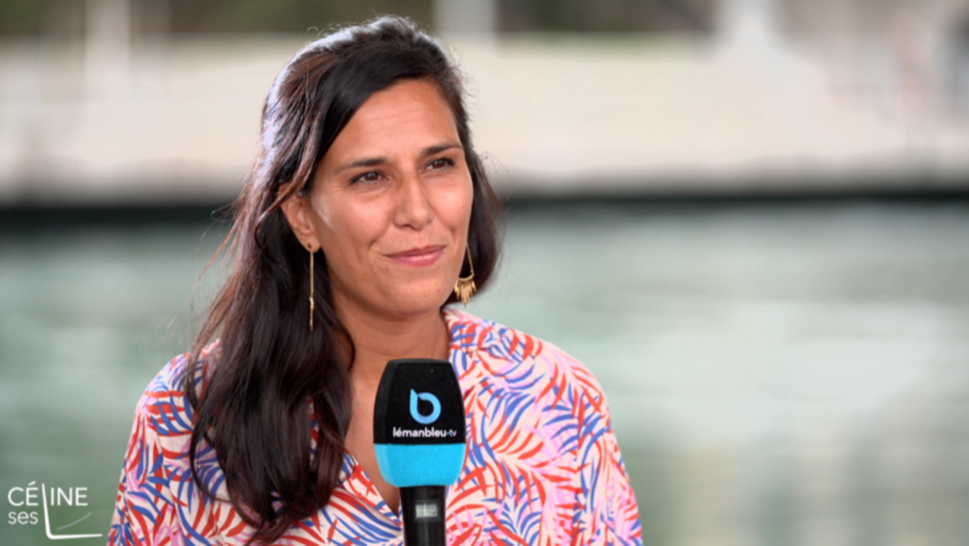 Céline, ses livres