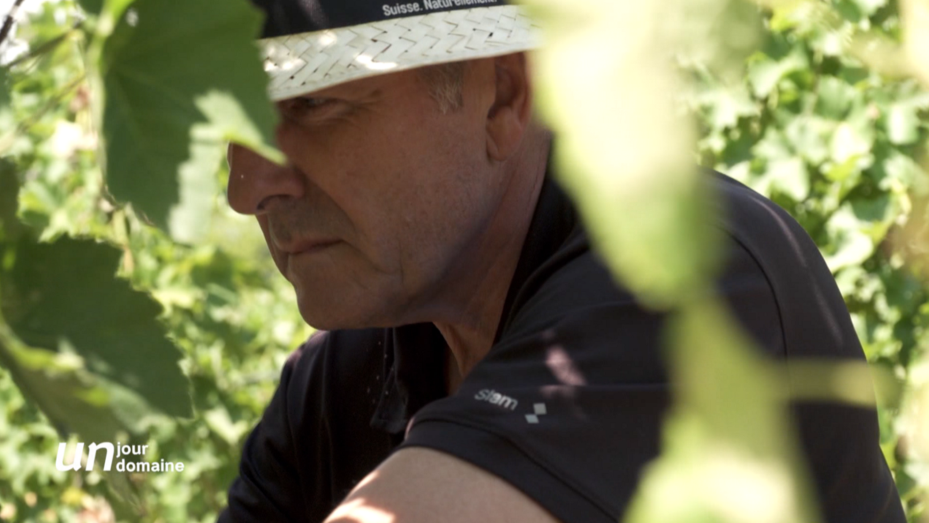 Un jour, un domaine