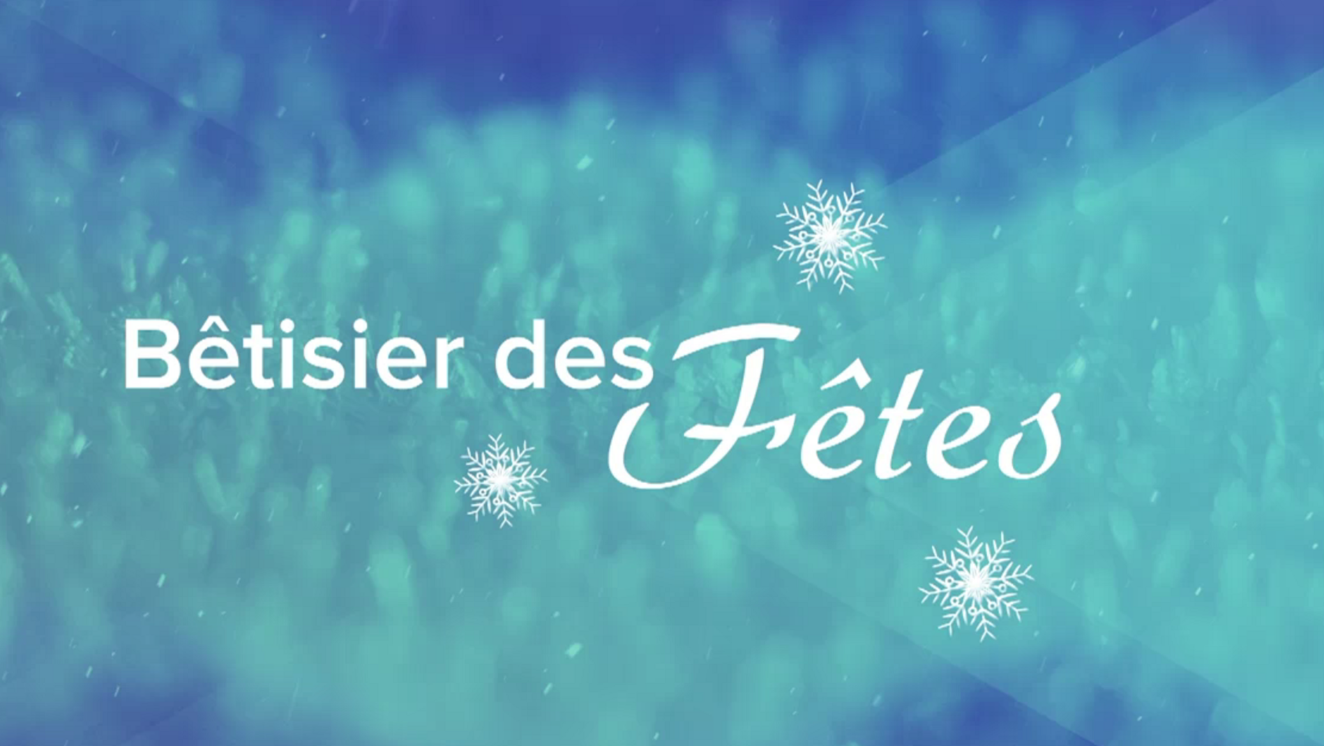 Le Grand Bêtisier des fêtes