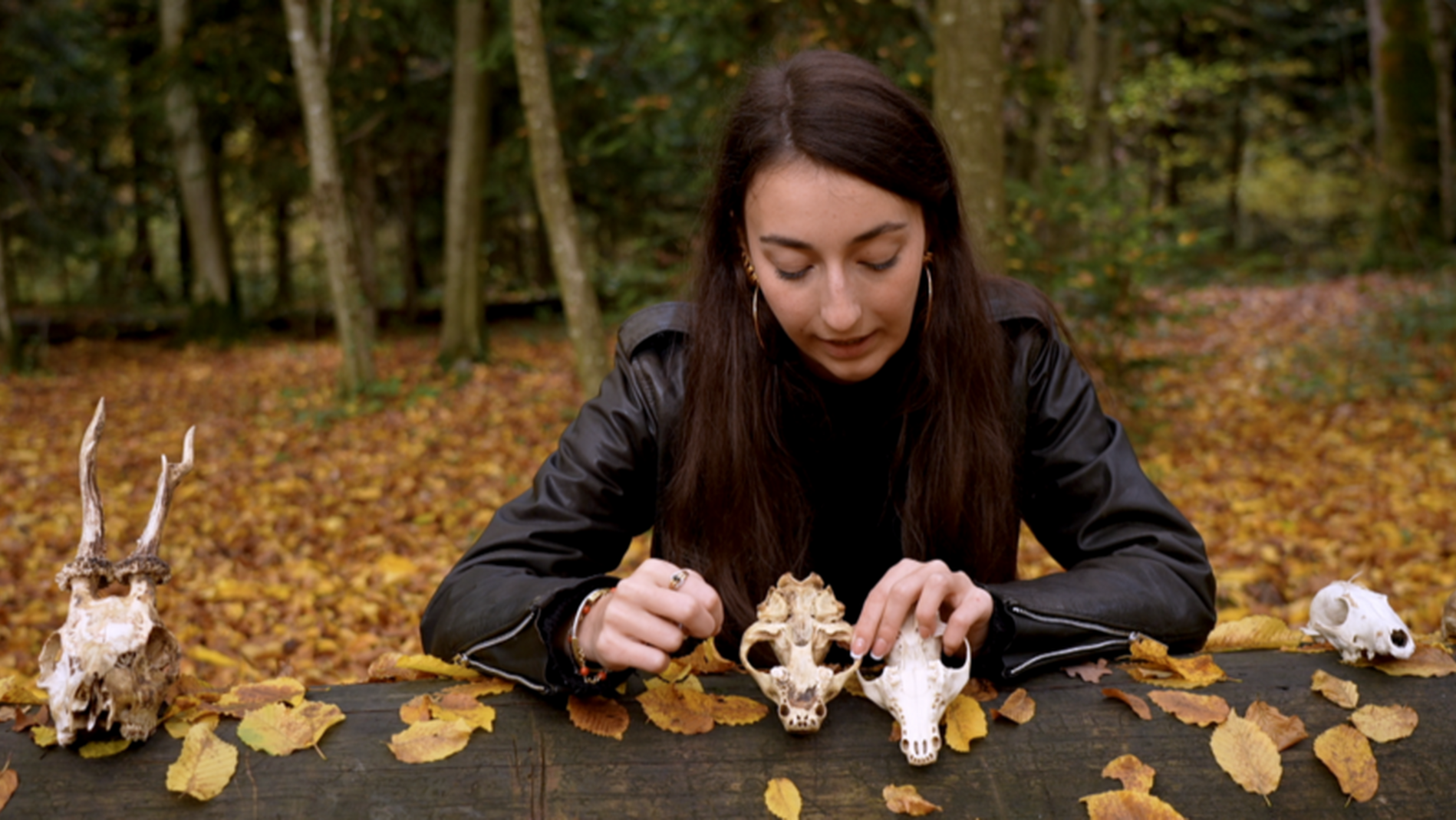 Genève Grandeur Nature