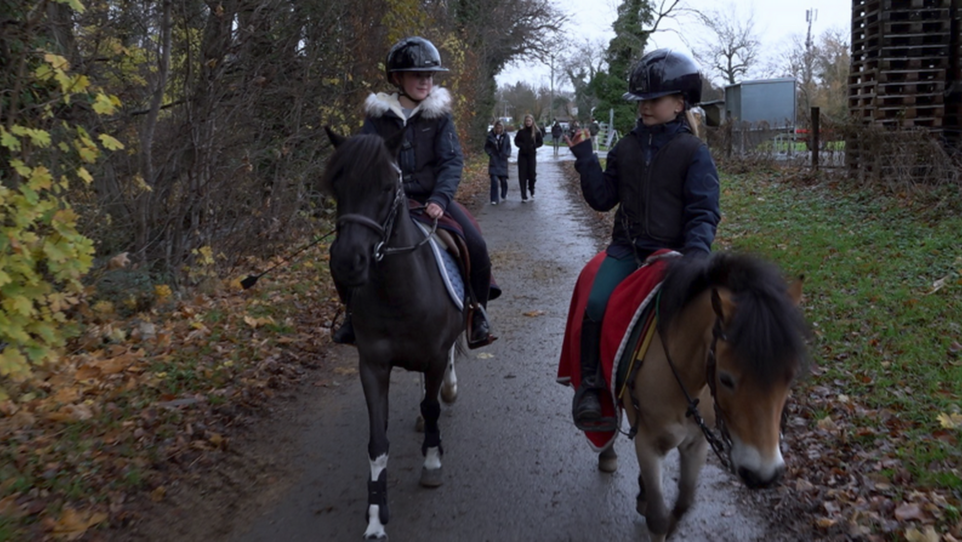 En piste pour le Concours Hippique International de Genève