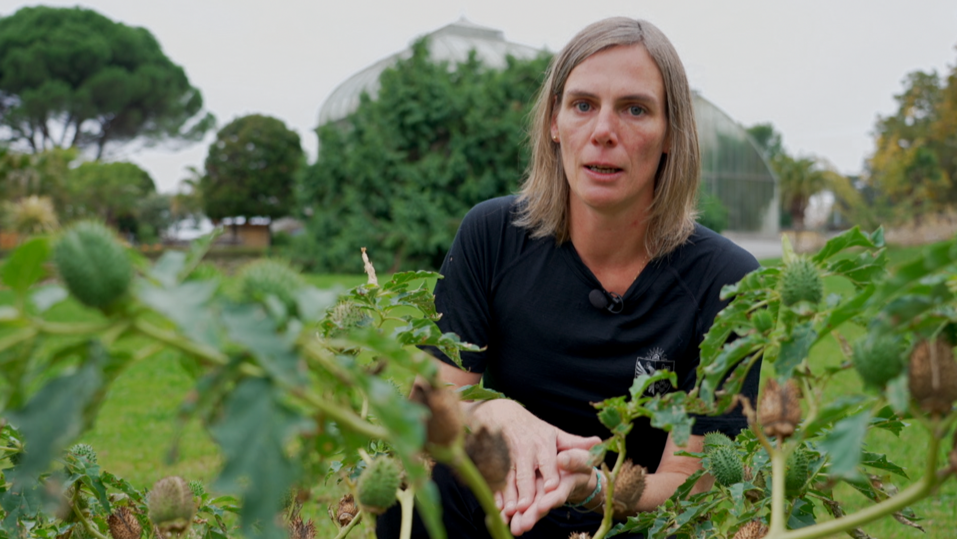 Genève Grandeur Nature