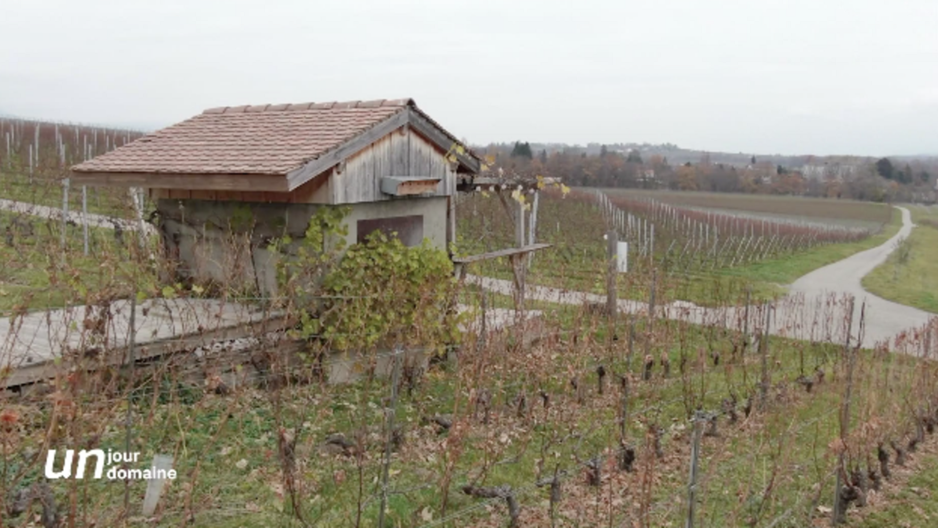 Un jour, un domaine