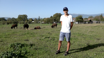 video En Israël, l'aide aux civils s'organise