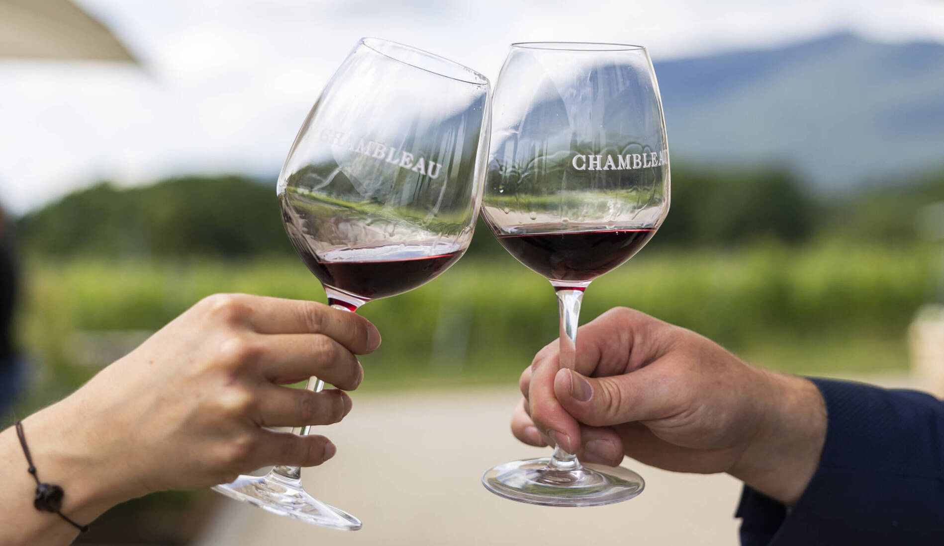 Sécheresse: les viticulteurs doivent pouvoir faire des réserves