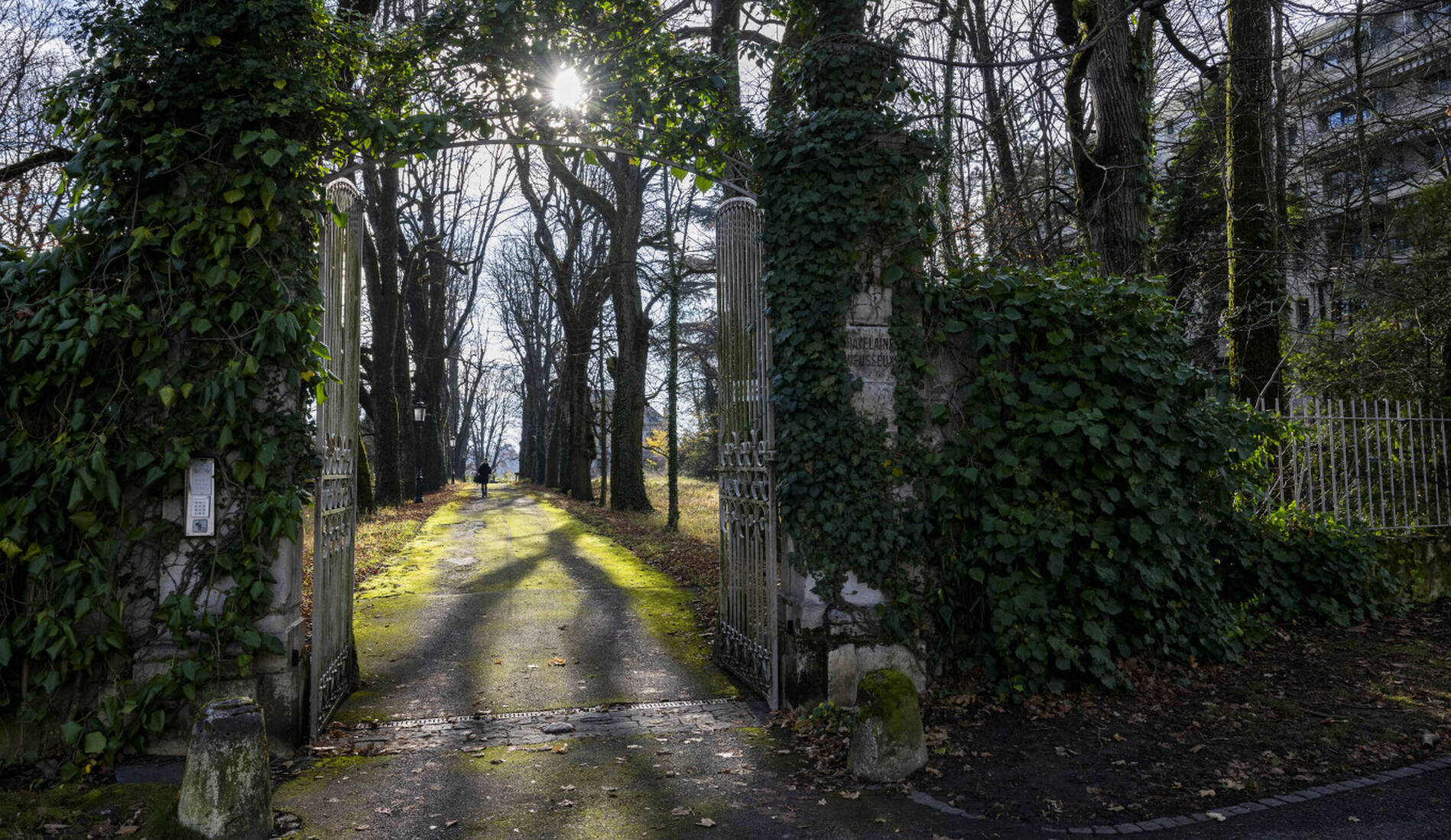 La Ville de Genève veut ouvrir le parc Masset en mai 2027