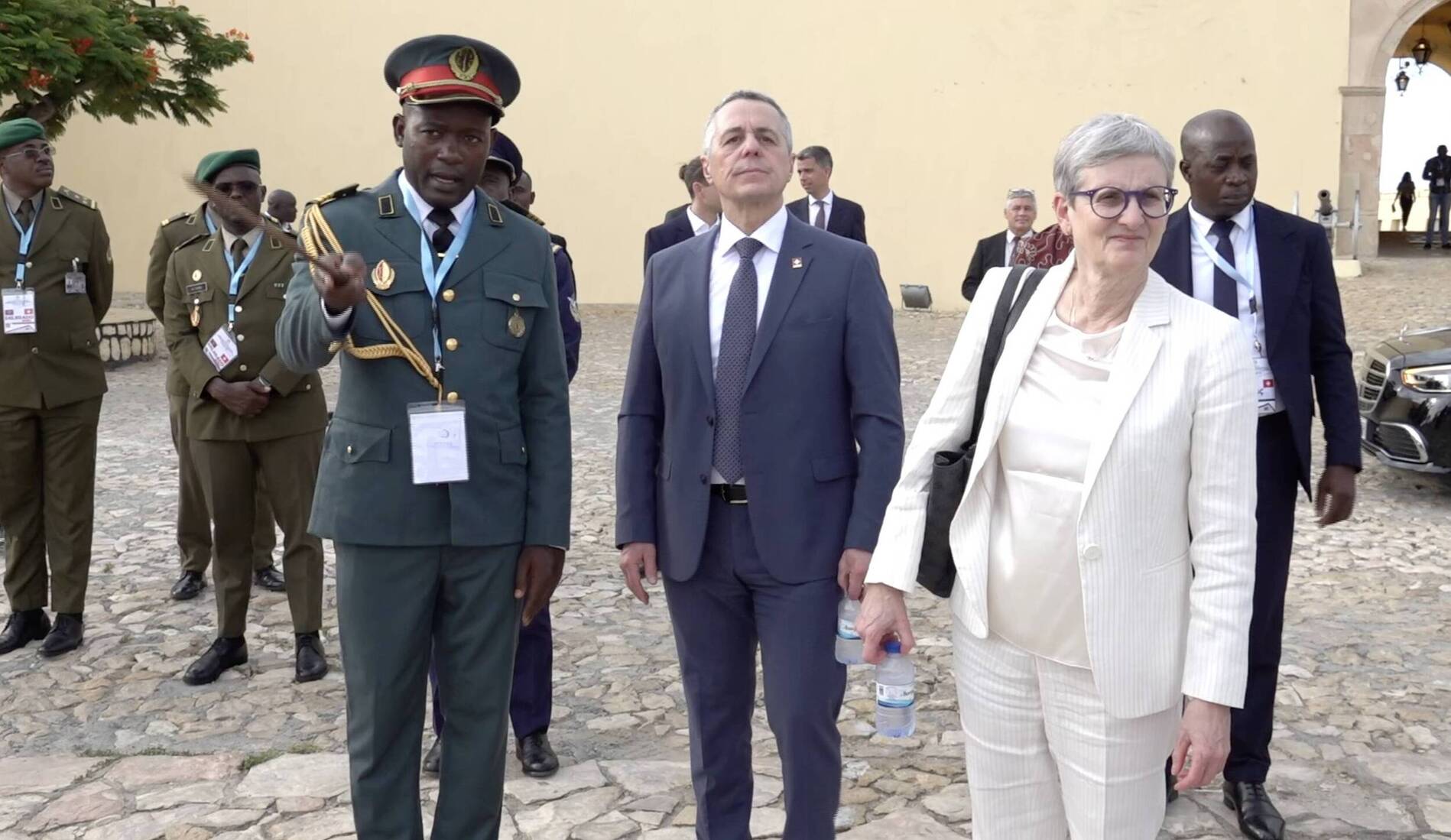 Cassis en Afrique: un voyage au pas de charge